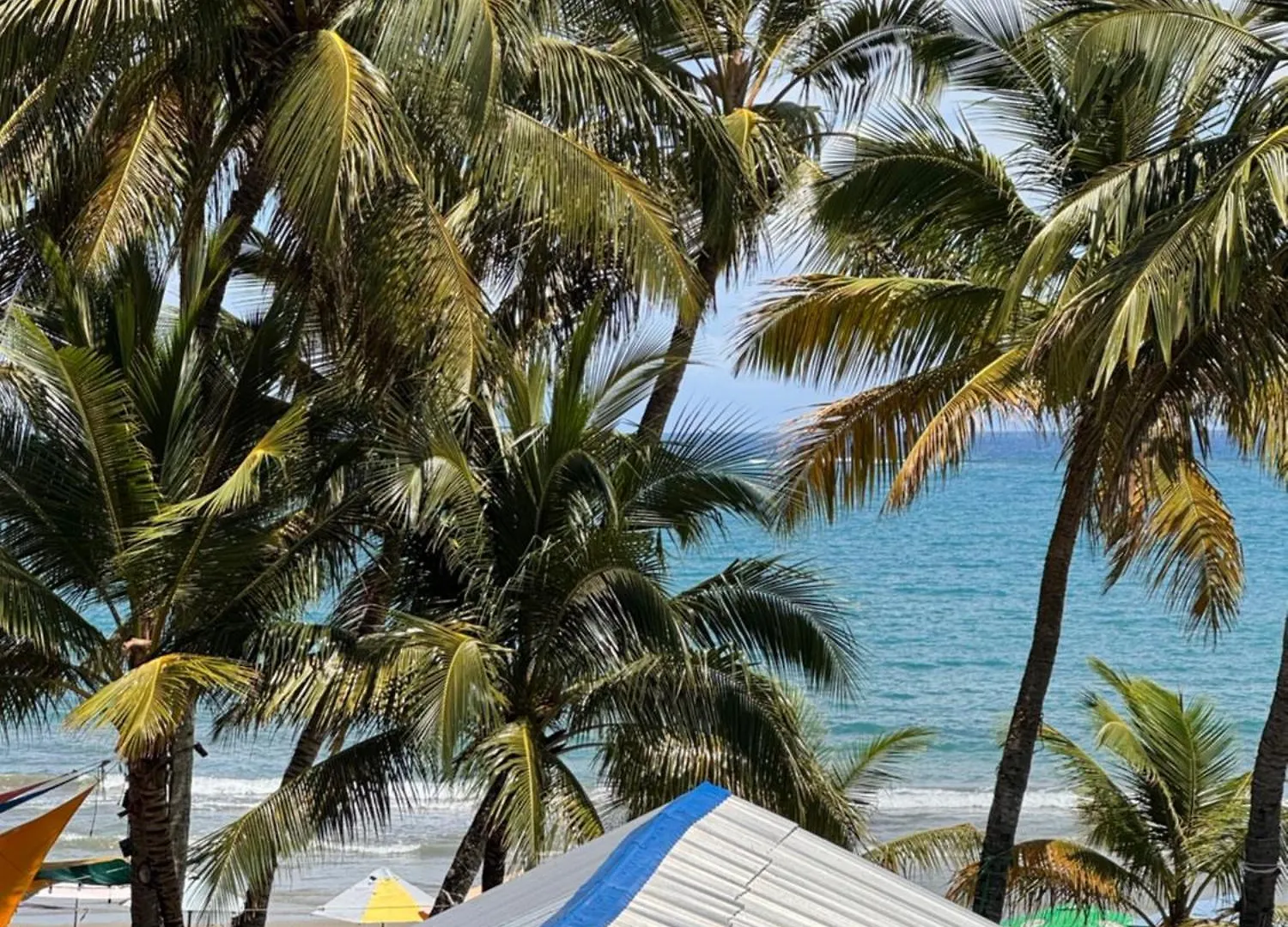 Wing Camp Vandrarhem Cabarete Dominikanska republiken