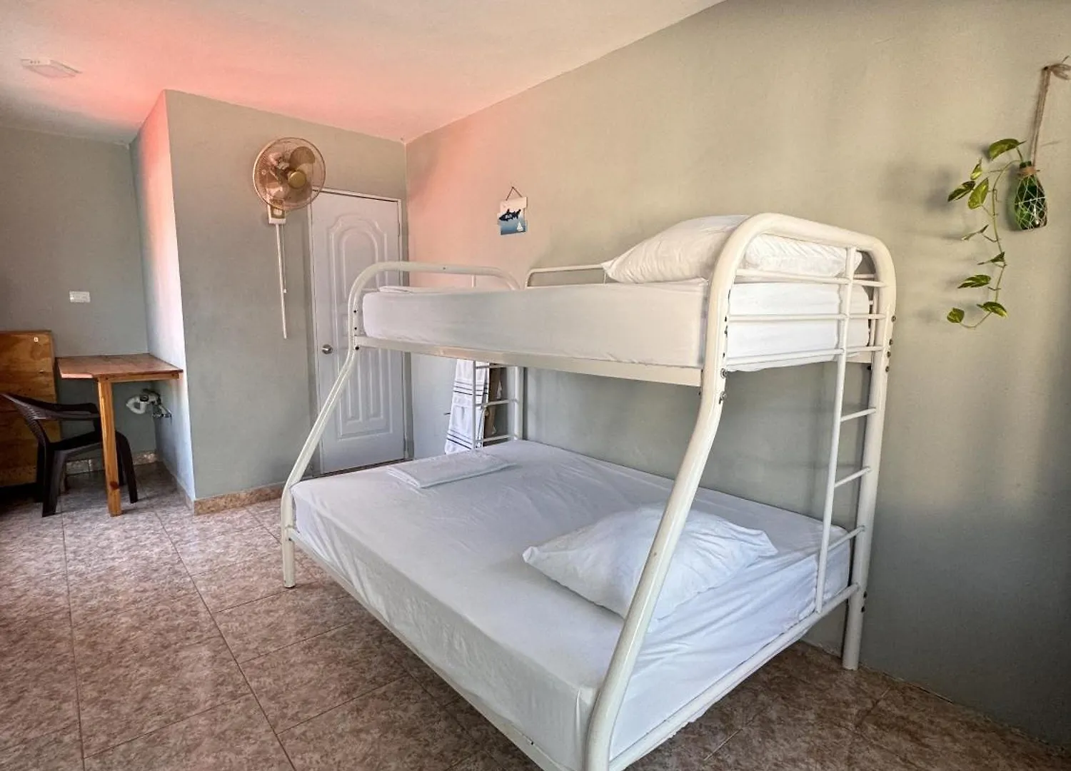 Wing Camp Hostel Cabarete