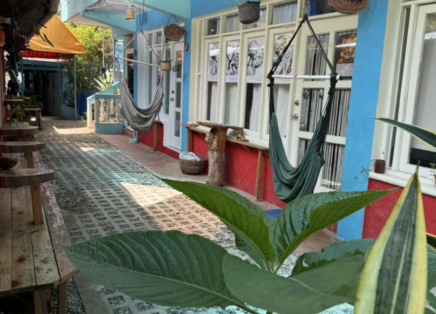Hostal Albergue Wing Camp Cabarete